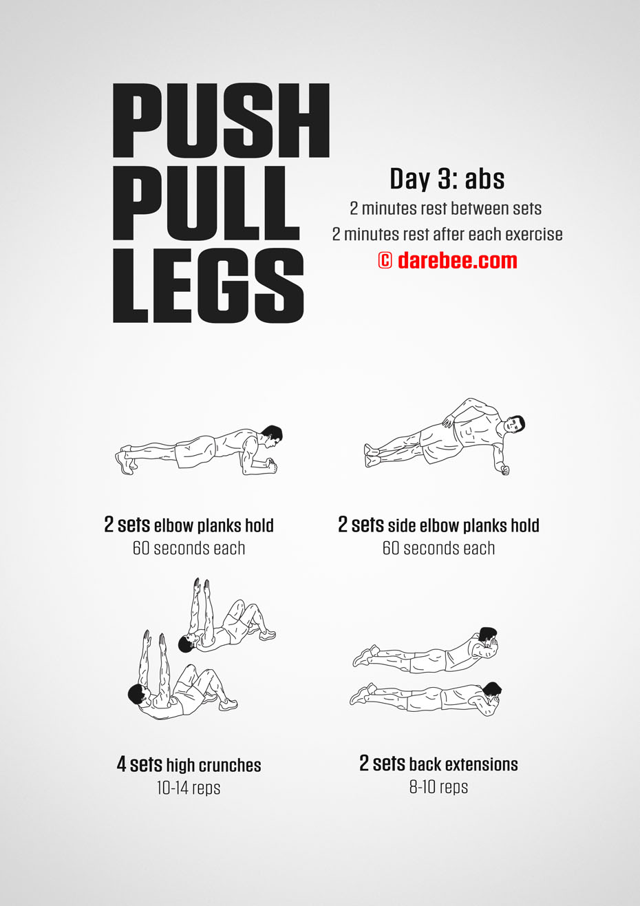 Push Pull Legs  30 Day Muscle Building Dumbbell Program by DAREBEE