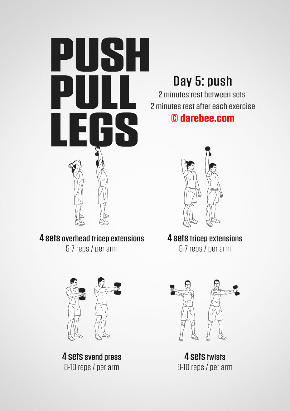 Push Pull Legs  30 Day Muscle Building Dumbbell Program by DAREBEE