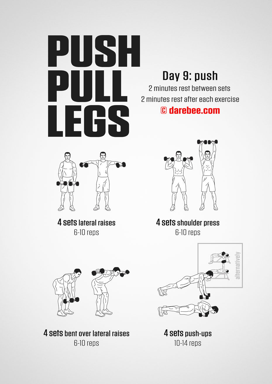 Push Pull Legs  30 Day Muscle Building Dumbbell Program by DAREBEE