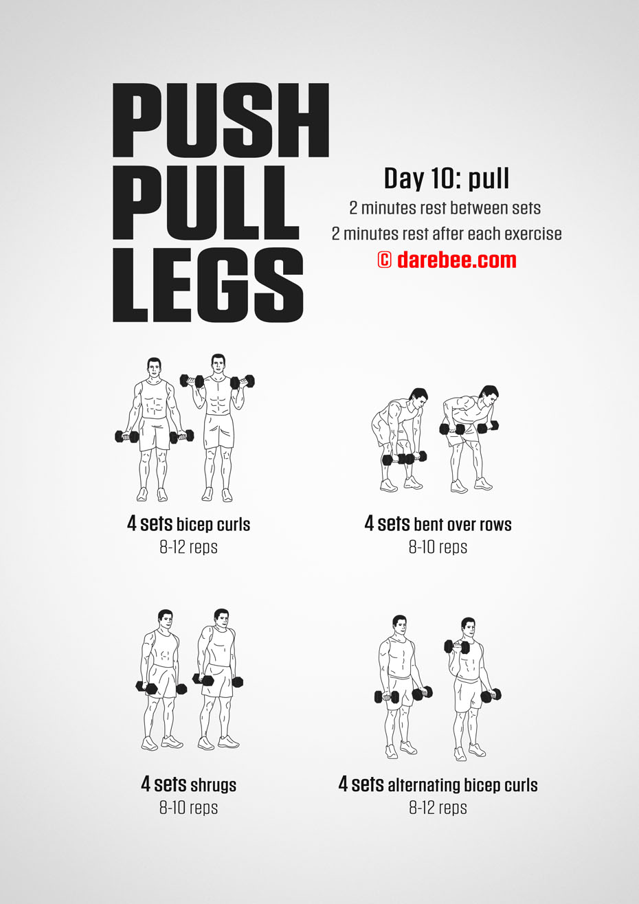 Push Pull Legs  30 Day Muscle Building Dumbbell Program by DAREBEE