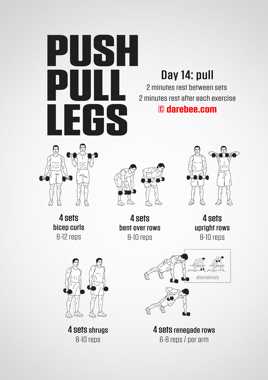 Push Pull Legs  30 Day Muscle Building Dumbbell Program by DAREBEE