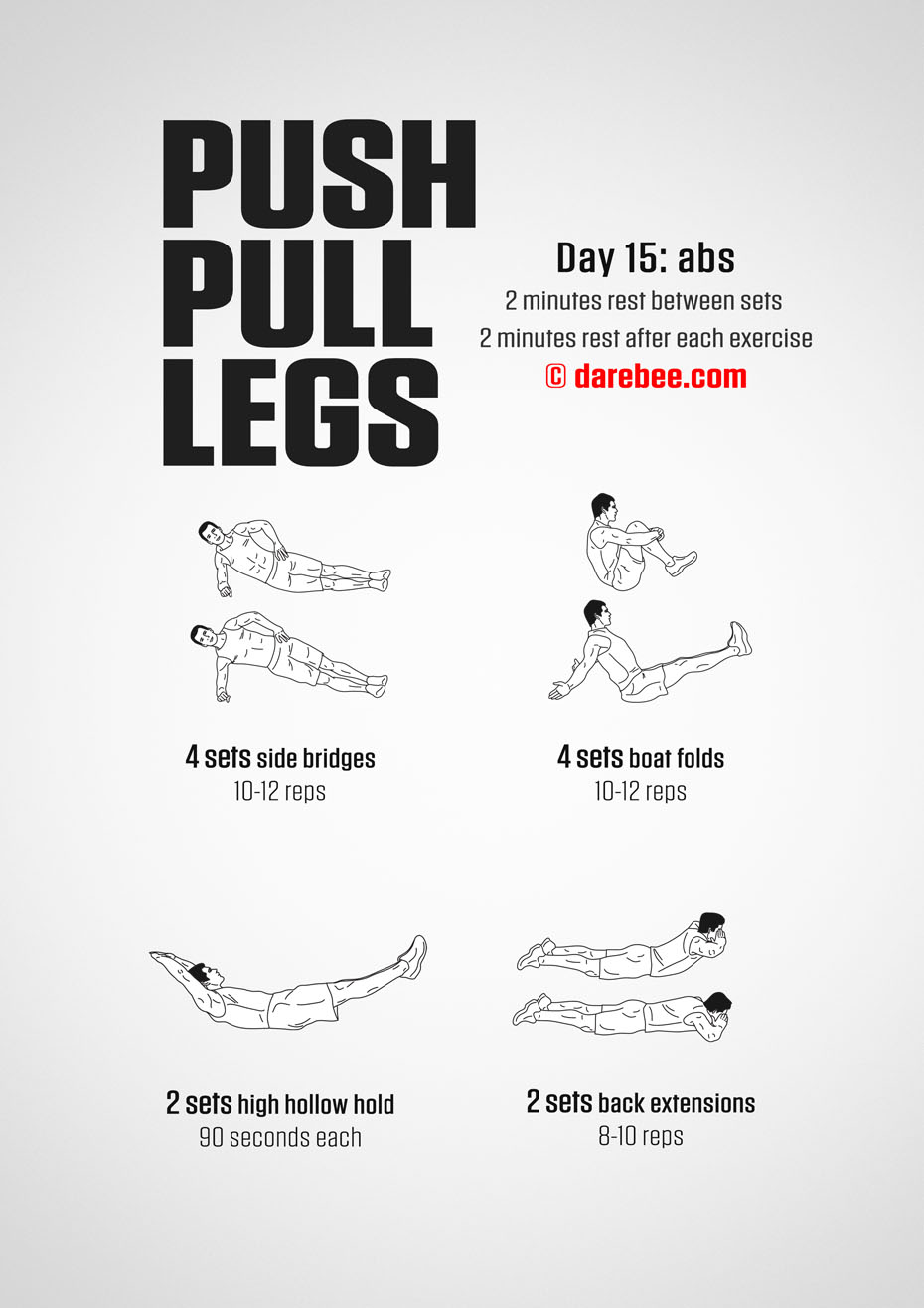 Push Pull Legs  30 Day Muscle Building Dumbbell Program by DAREBEE