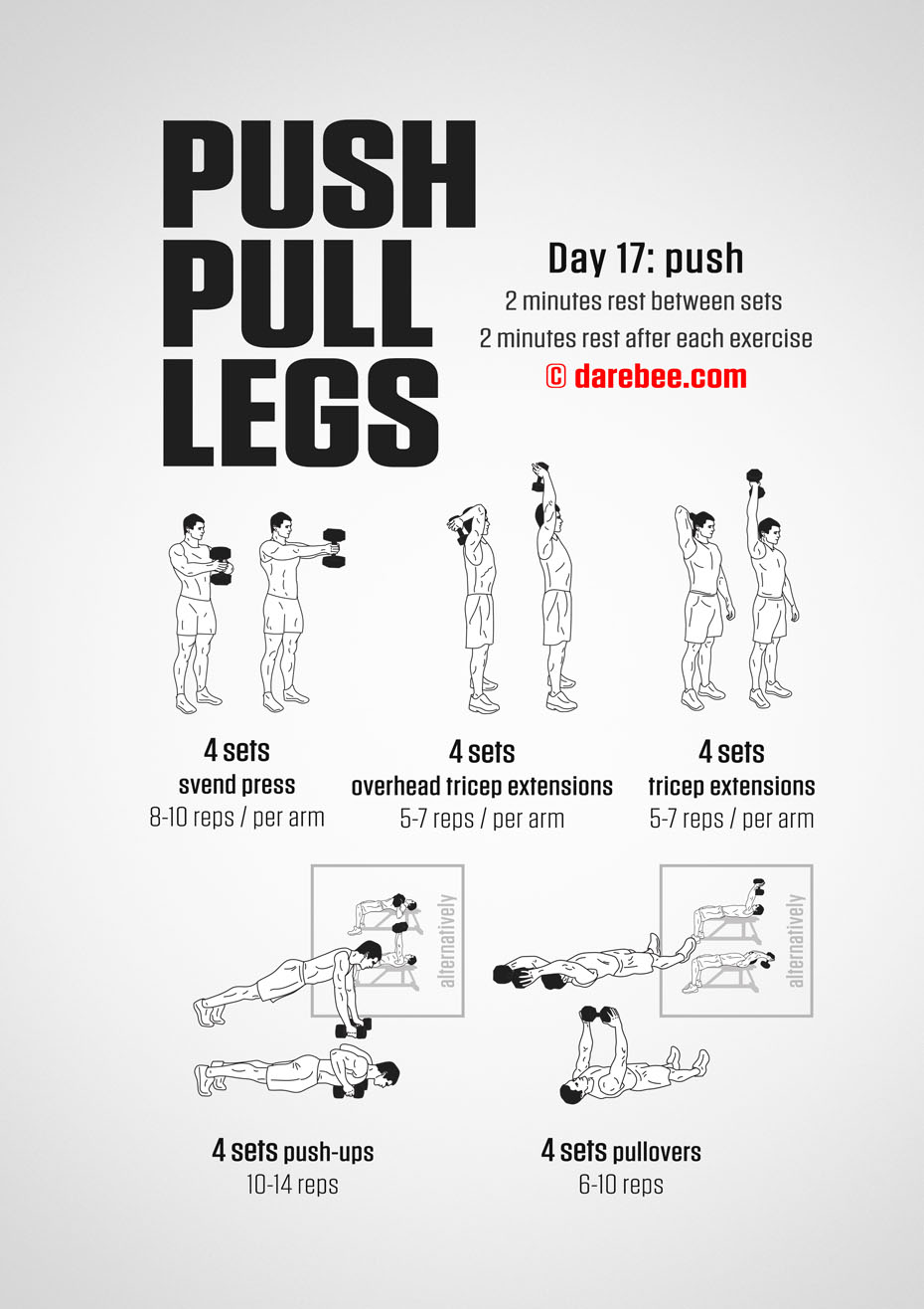 Push Pull Legs  30 Day Muscle Building Dumbbell Program by DAREBEE