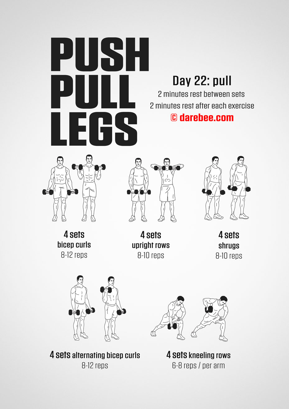 Push Pull Legs  30 Day Muscle Building Dumbbell Program by DAREBEE