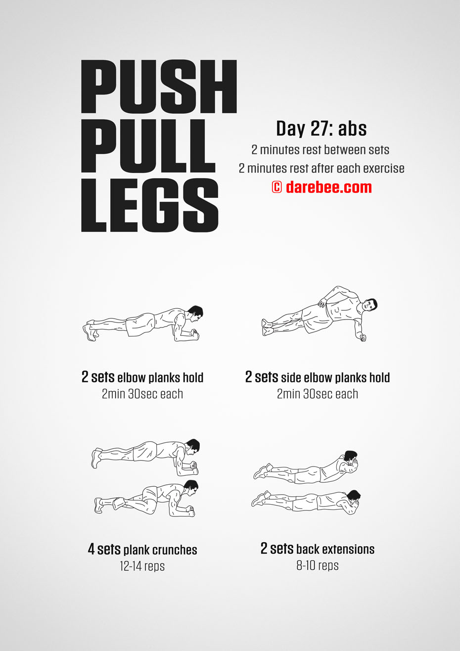 Push Pull Legs  30 Day Muscle Building Dumbbell Program by DAREBEE