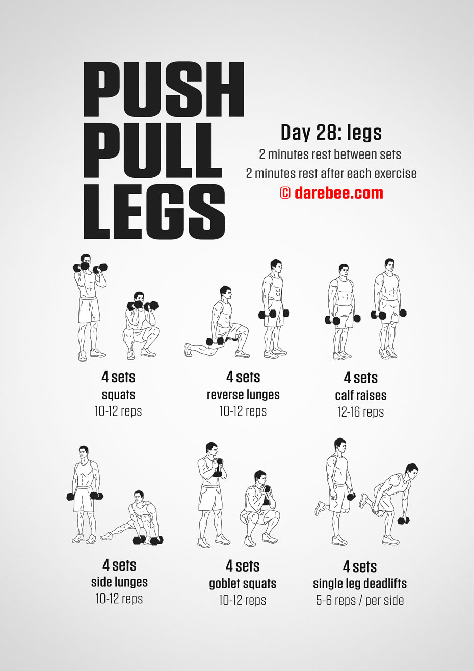 Push Pull Legs  30 Day Muscle Building Dumbbell Program by DAREBEE