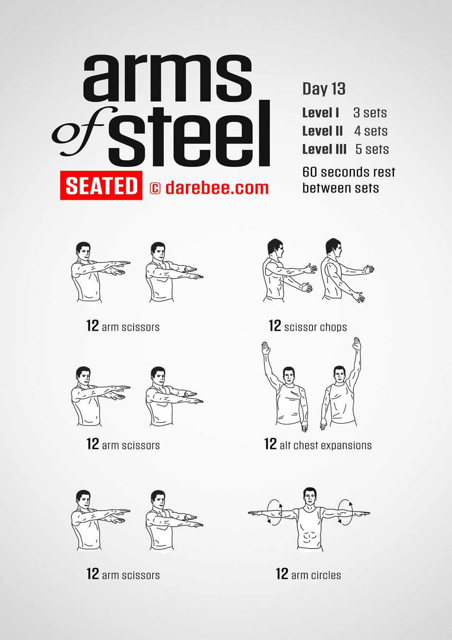 Arms of Steel Seated - Upperbody Program by DAREBEE