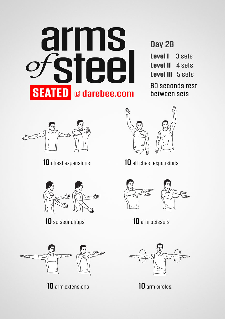 Arms of Steel Seated - Upperbody Program by DAREBEE