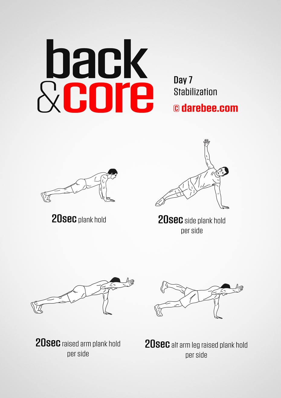 Back and Core - 30 Day Program by DAREBEE