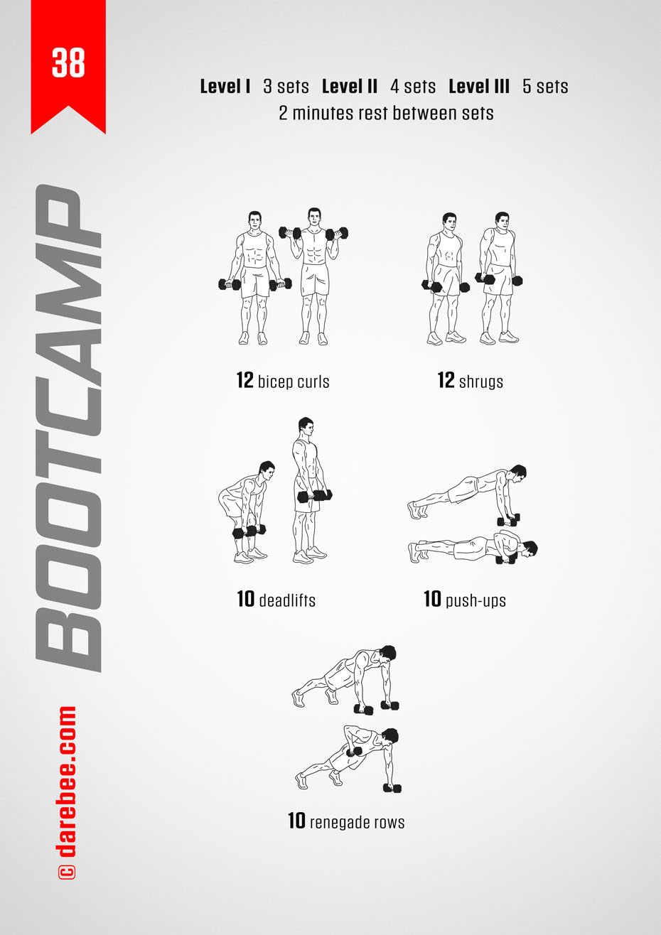 BOOTCAMP Program by DAREBEE