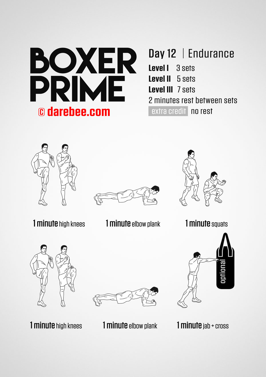 Boxer Prime: 30-Day Fitness Program