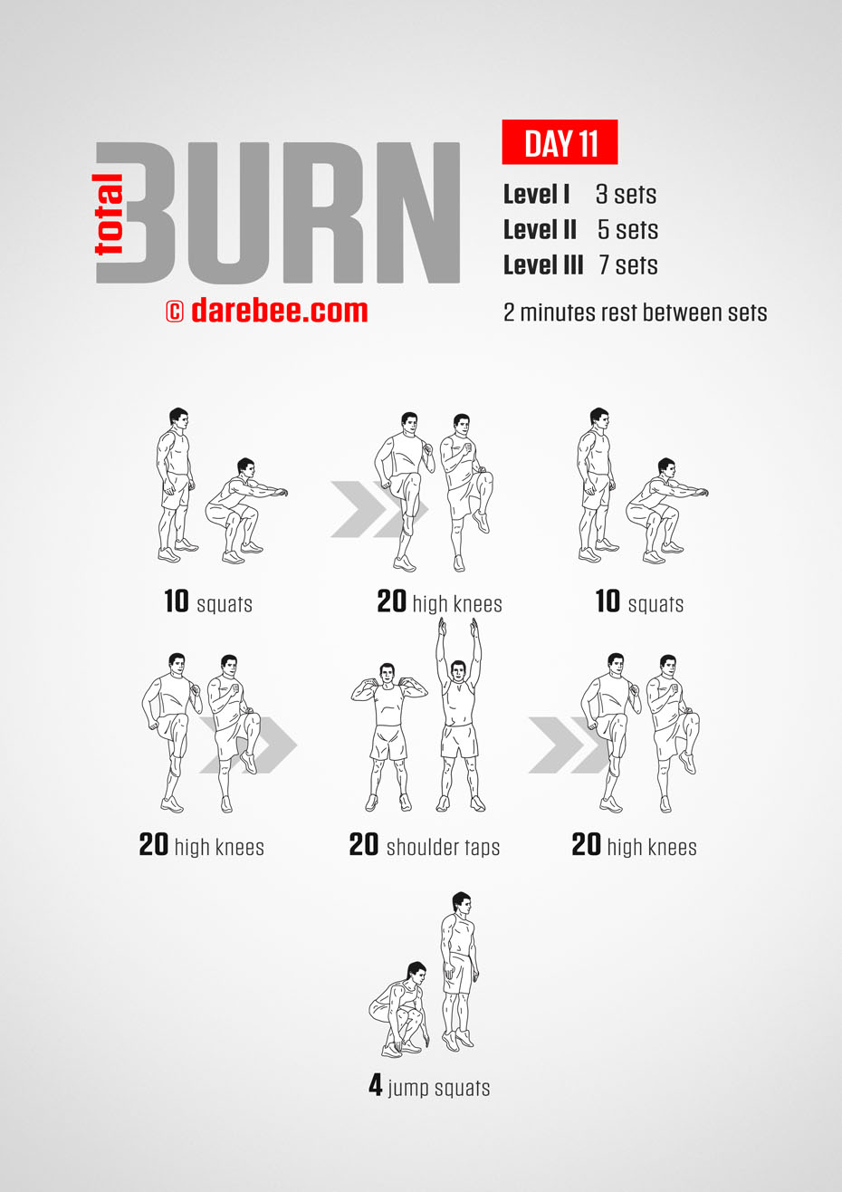 Total Burn - 30 Day At Home Cardio Program