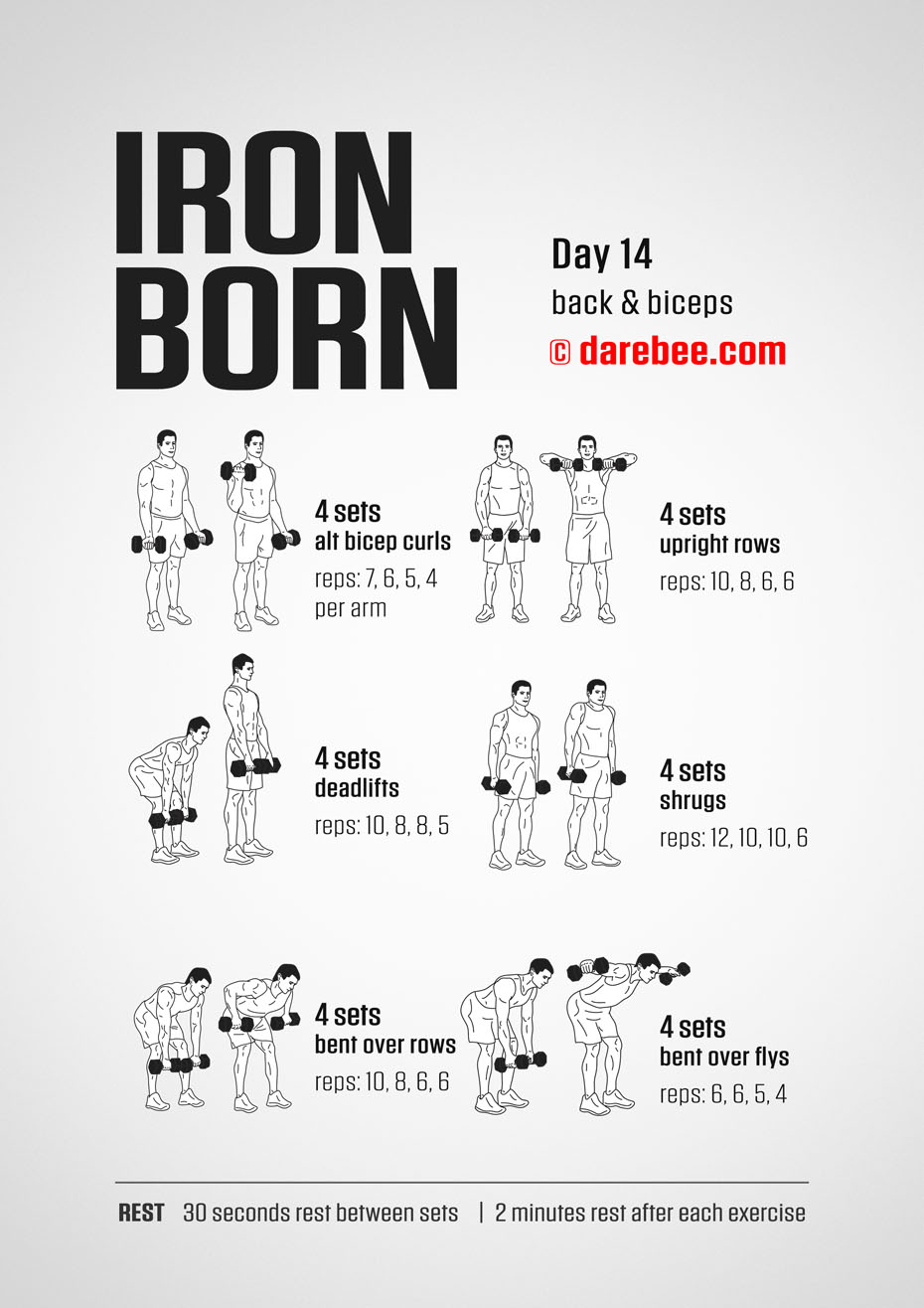 IRONBORN - 30 Day Muscle Definition Dumbbell Program by DAREBEE