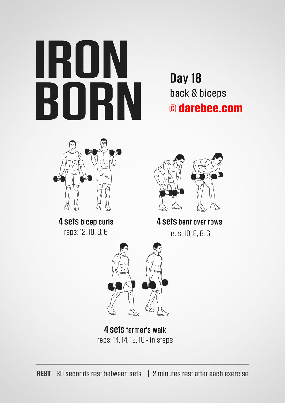 IRONBORN - 30 Day Muscle Definition Dumbbell Program by DAREBEE