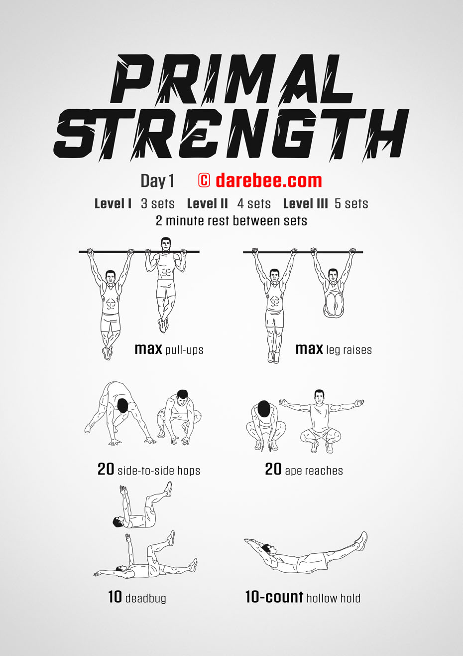 Primal Strength Program by DAREBEE