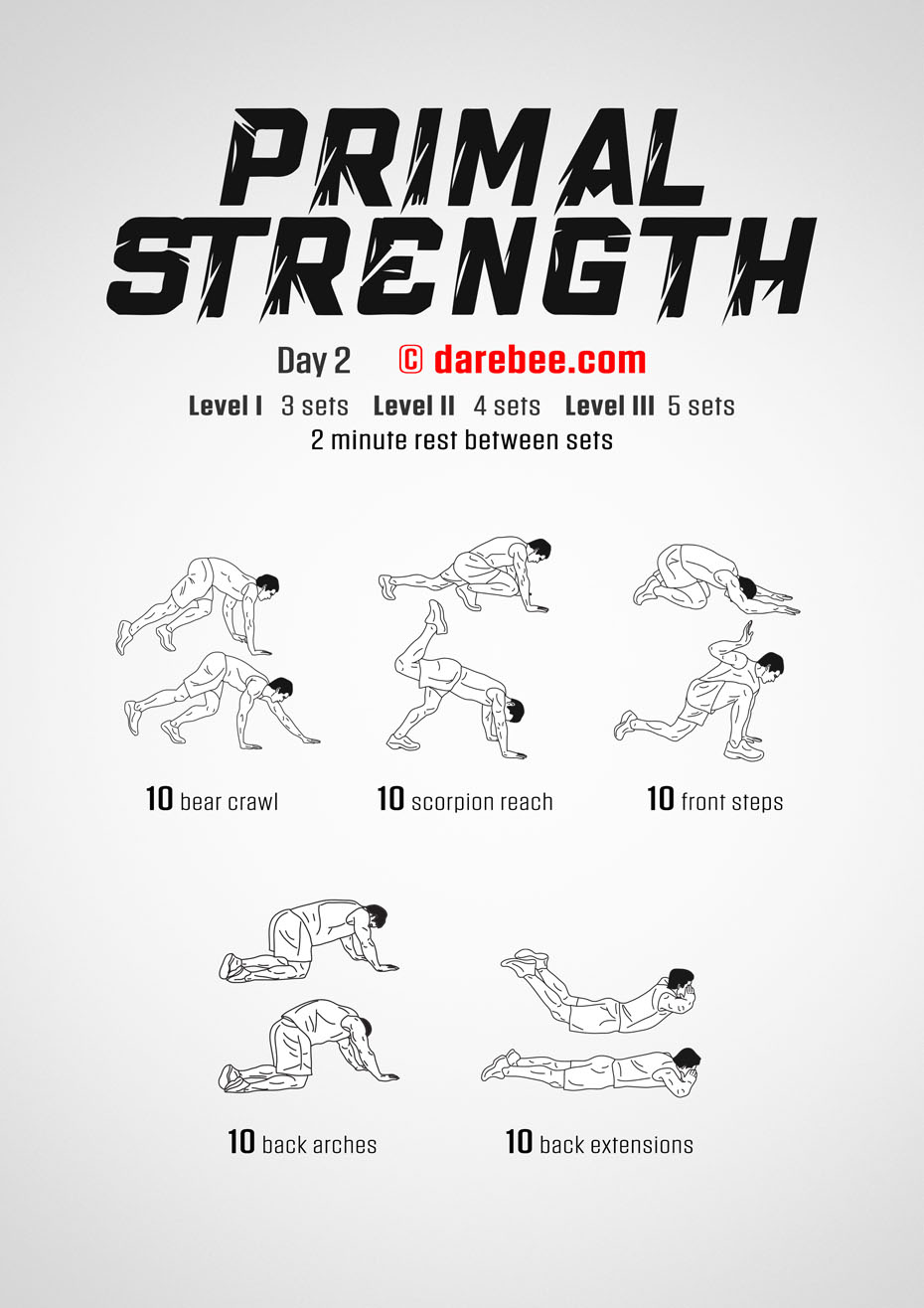 Primal Strength Program by DAREBEE