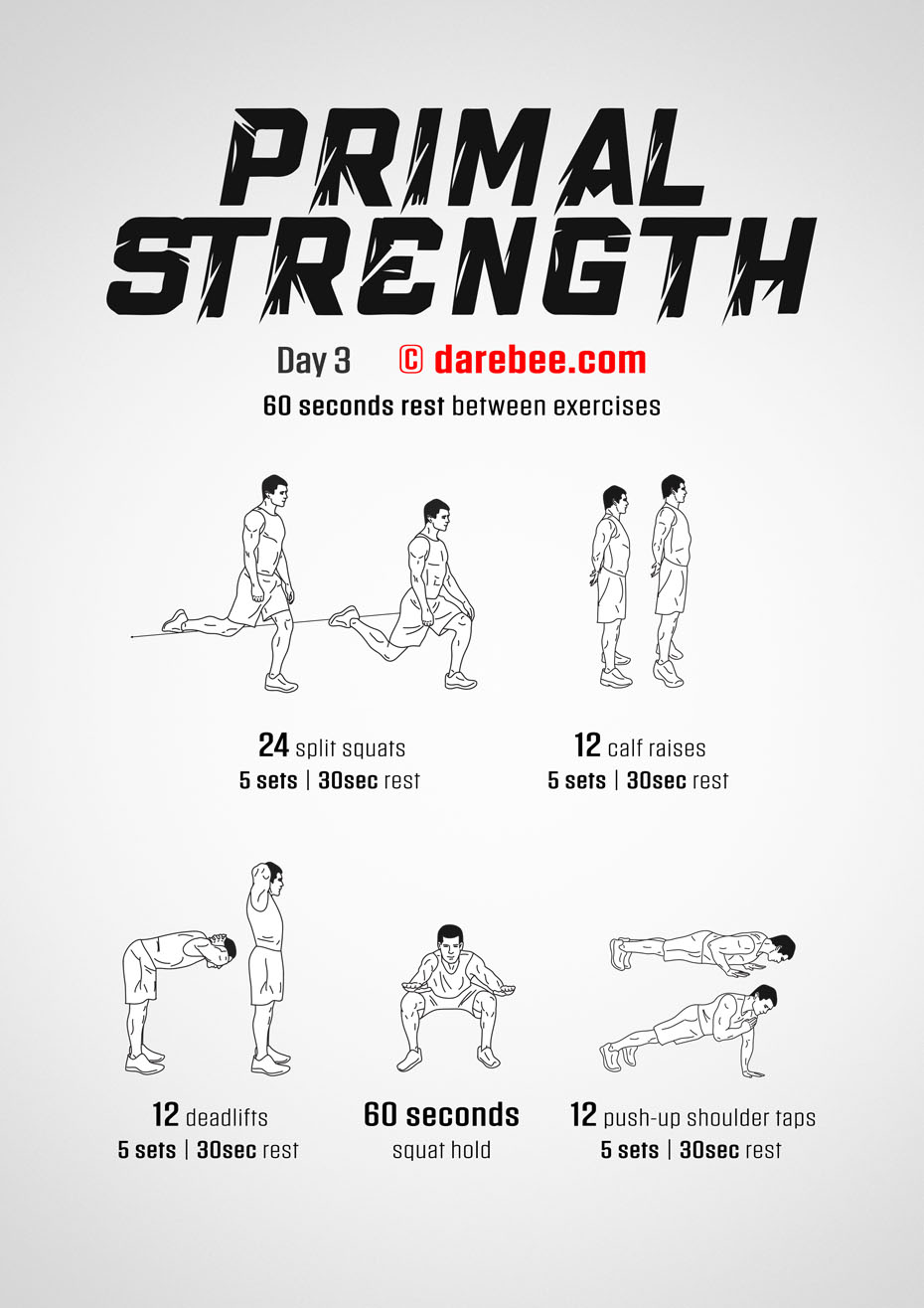 Primal Strength Program by DAREBEE