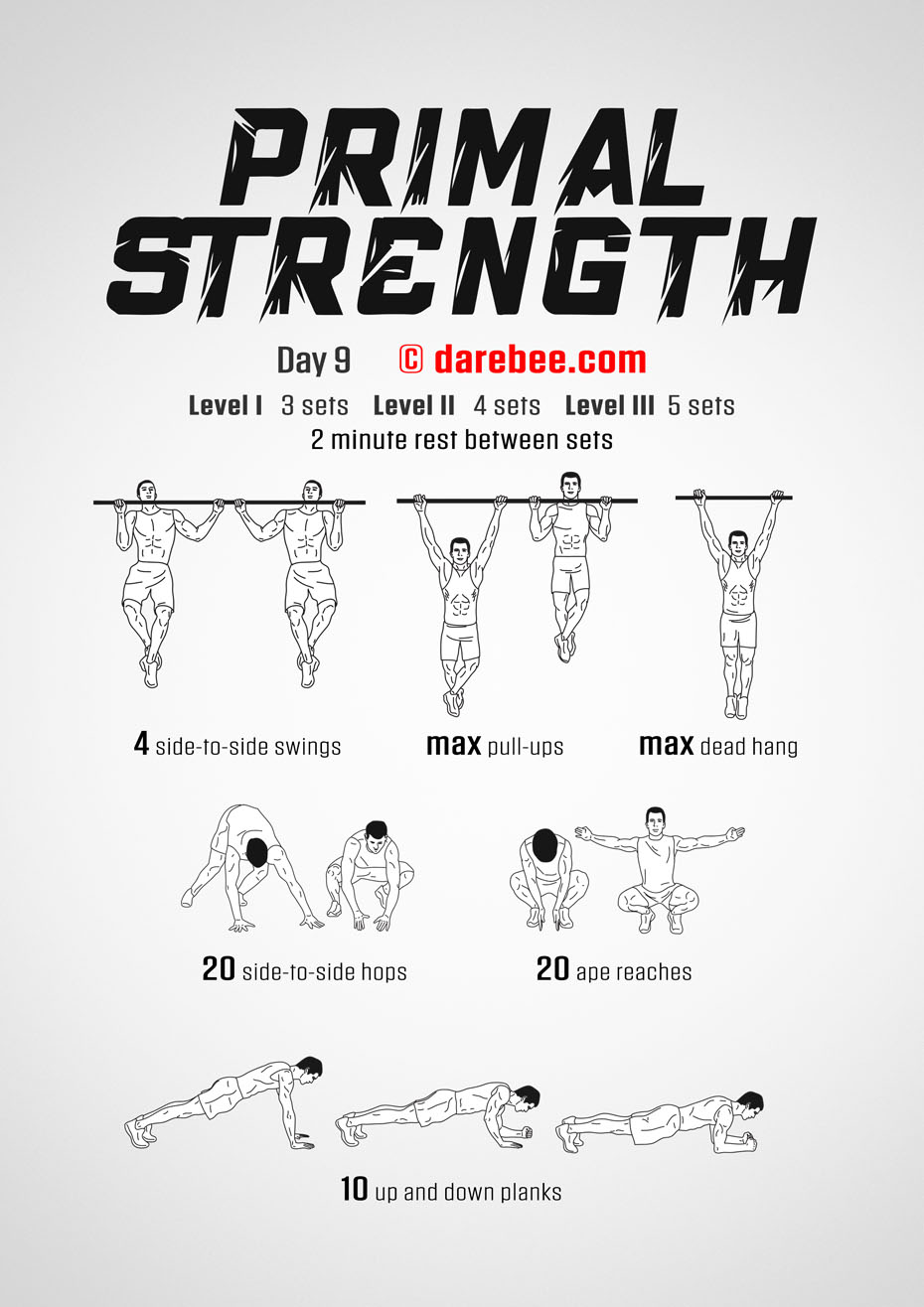 Primal Strength Program by DAREBEE