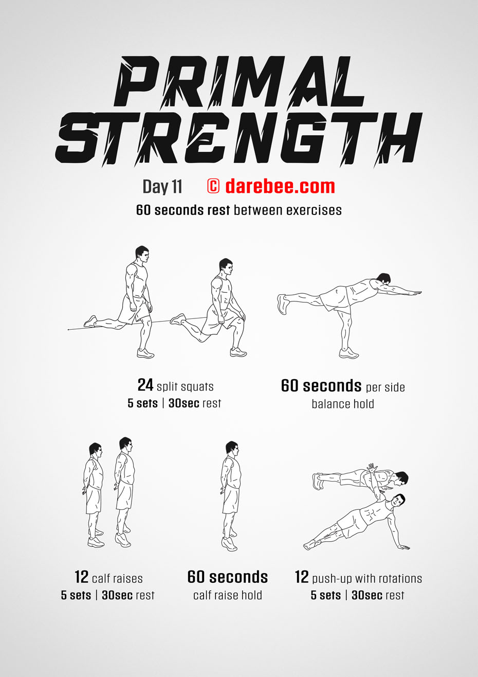 Primal Strength Program by DAREBEE