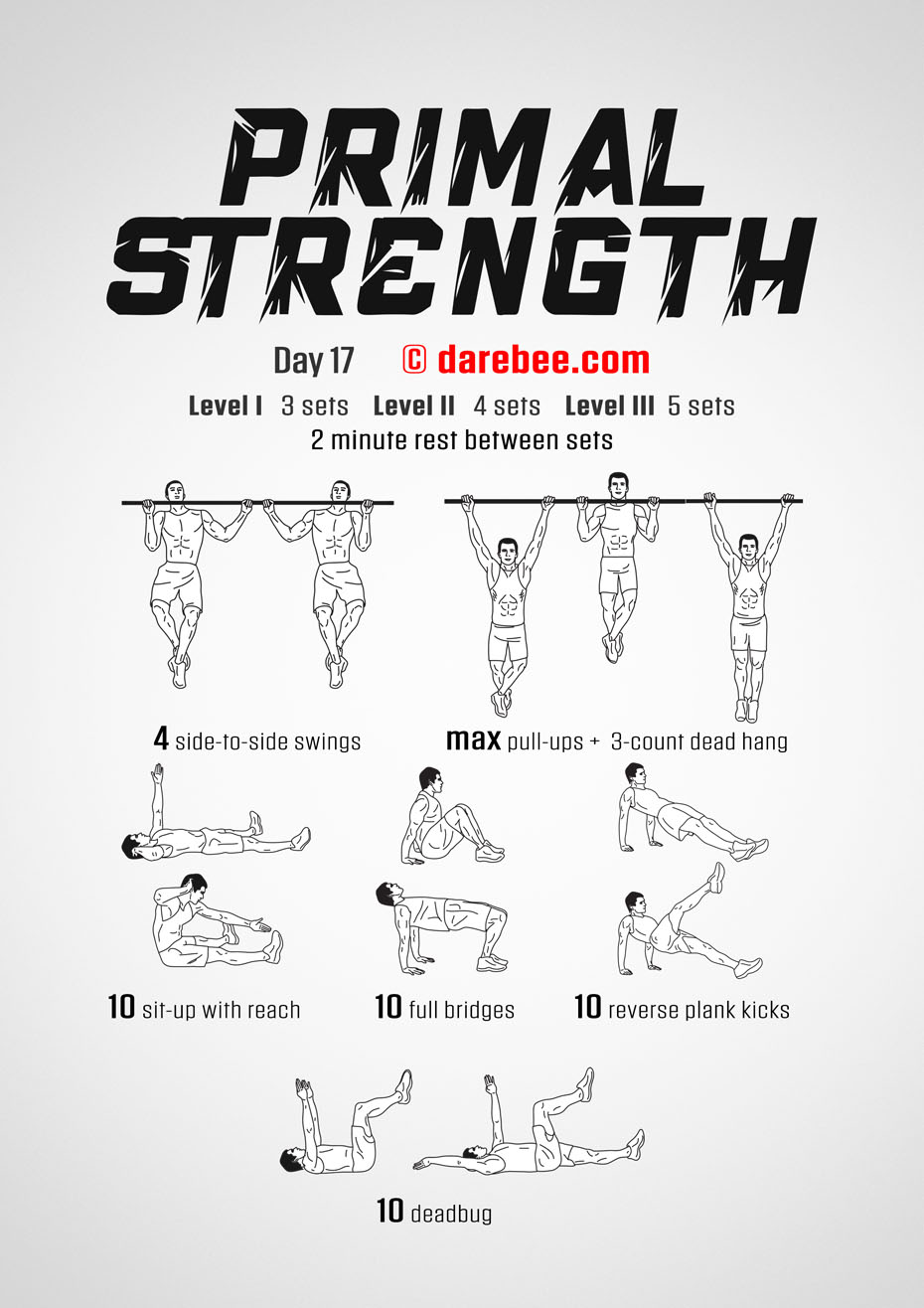 Primal Strength Program by DAREBEE