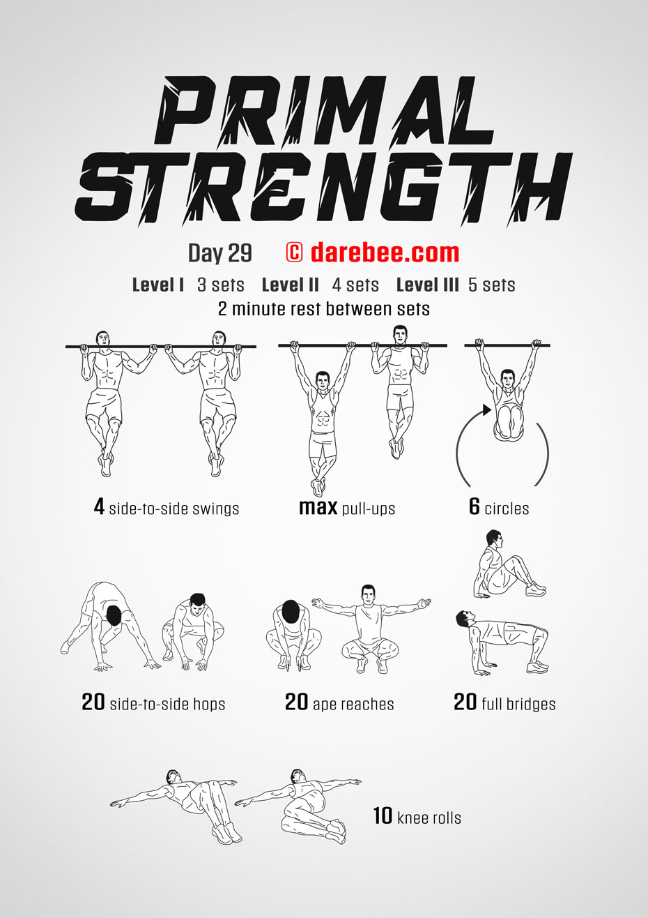 Primal Strength Program by DAREBEE