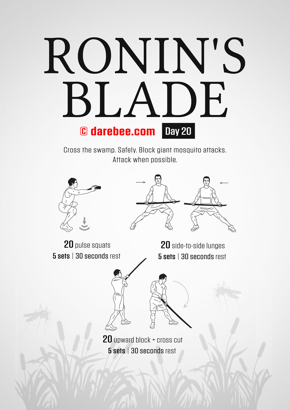 Ronins Blade 30 Day RPG Fitness Program by DAREBEE