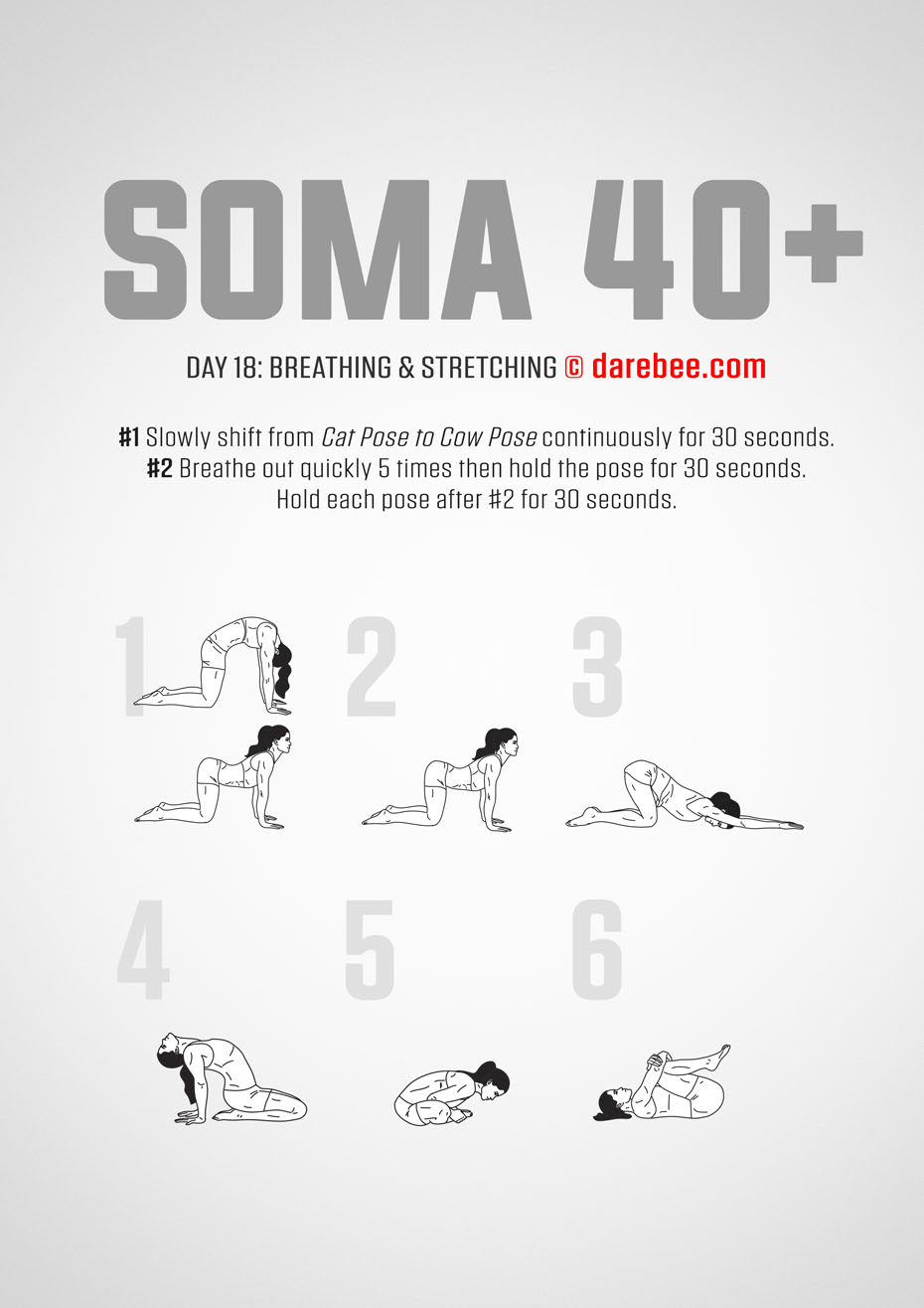 SOMA 40+ Fitness Program for Perimenopause and Menopause by DAREBEE