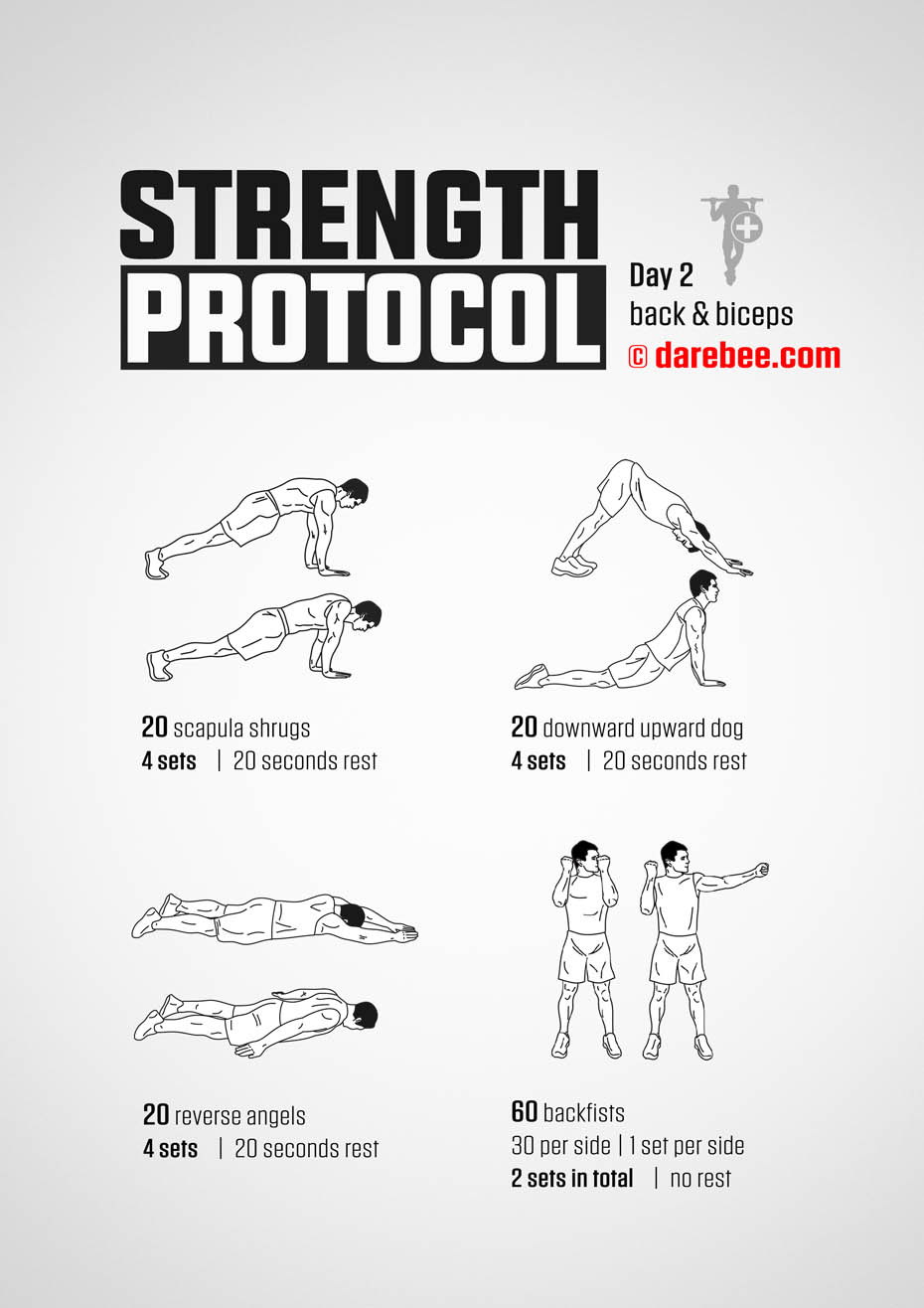 Strength Protocol: 30-Day Strength No-Equipment Program