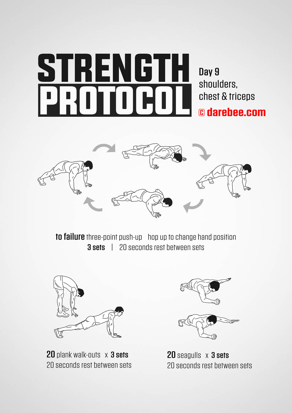 Strength Protocol: 30-Day Strength No-Equipment Program