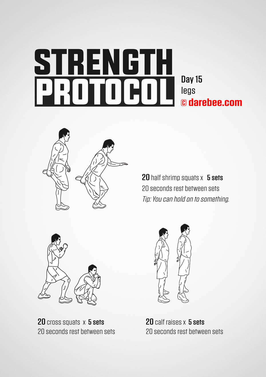 Strength Protocol: 30-Day Strength No-Equipment Program