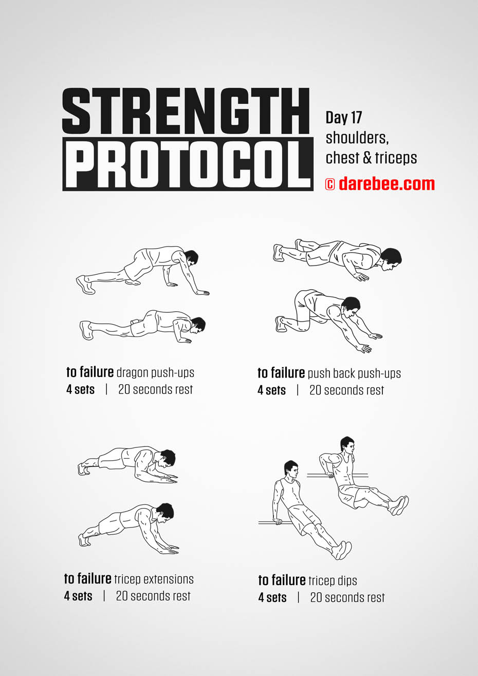 Strength Protocol: 30-Day Strength No-Equipment Program