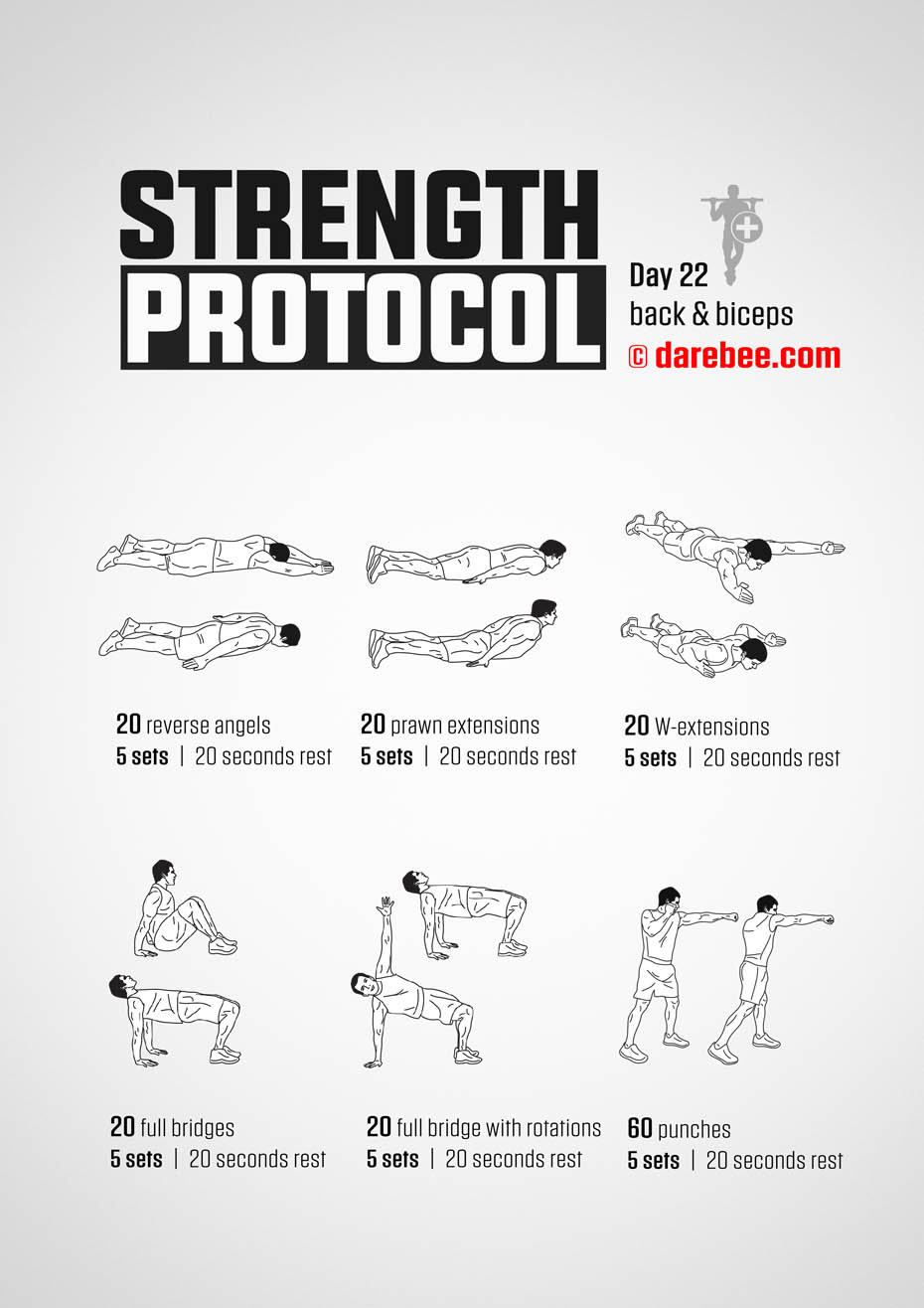 Strength Protocol: 30-Day Strength No-Equipment Program