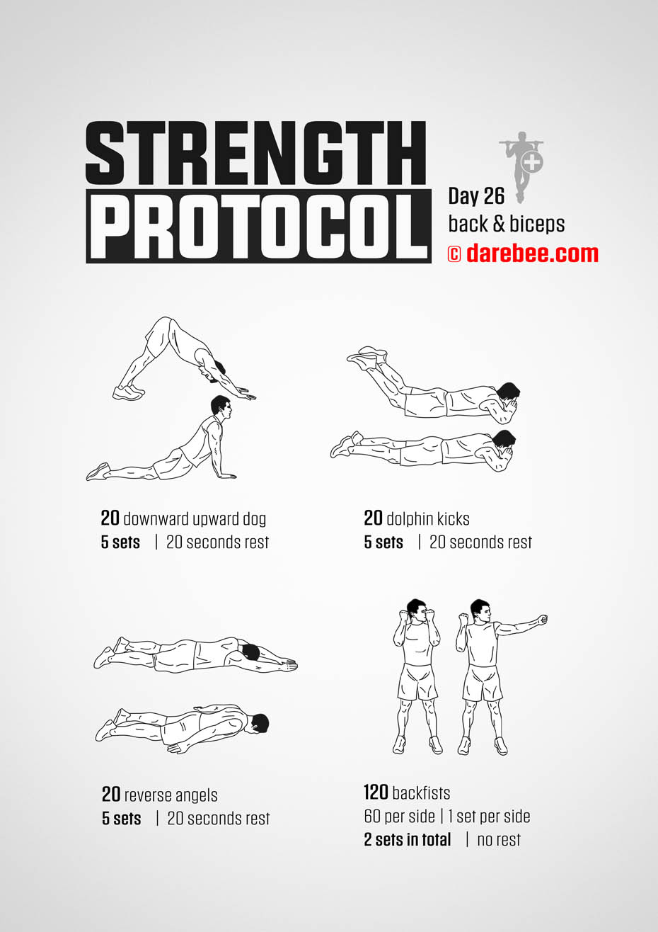 Strength Protocol: 30-Day Strength No-Equipment Program