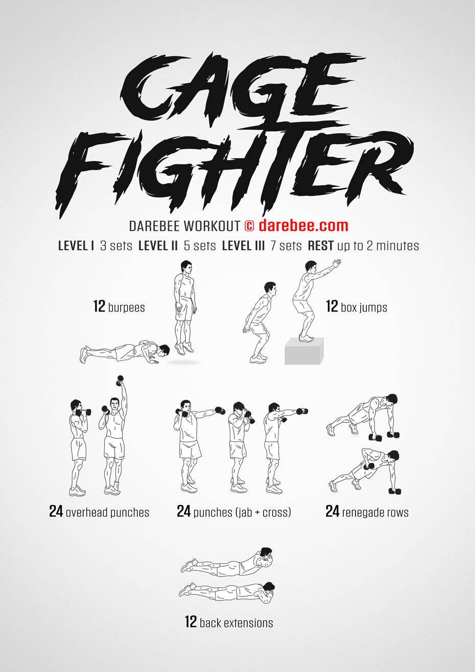 Cage Fighter Workout