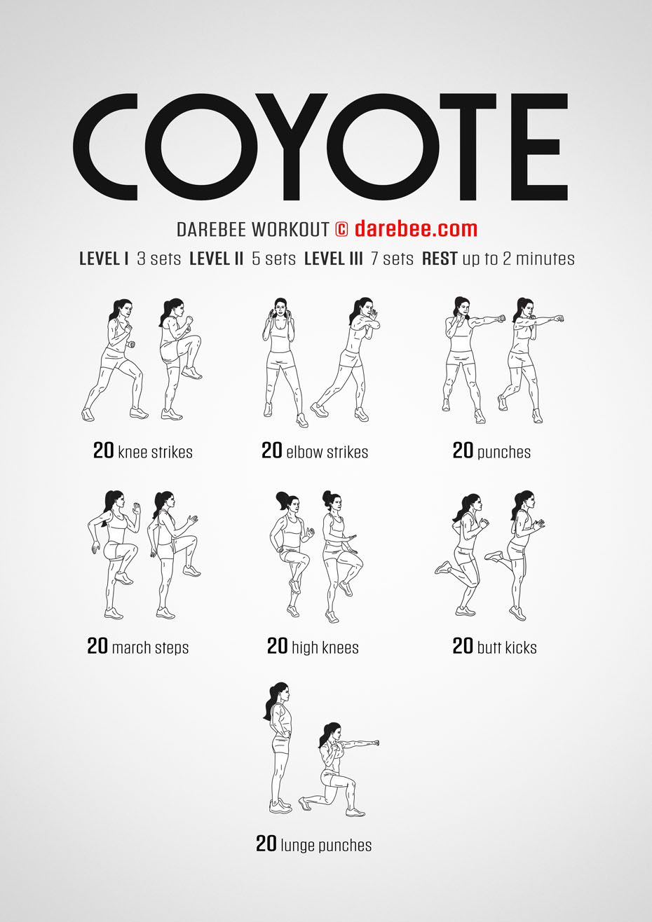 Coyote is a DAREBEE home fitness no equipment combat moves based workout that challenges your body and mind.