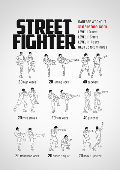 Fighter Workouts Collection